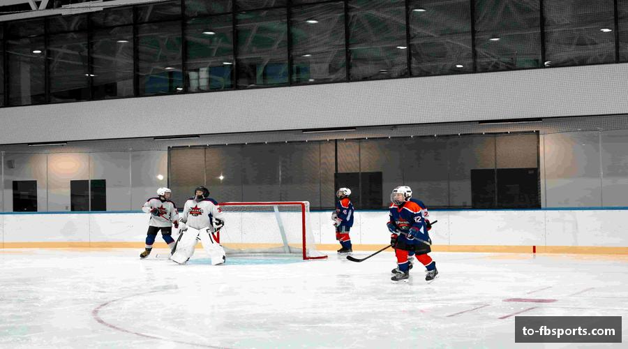 认识FB体育首页